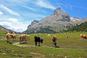 Alpine hut in the Dolomites 2