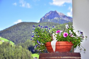 Urlaub auf dem Bauernhof am Kronplatz 1