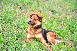 Farm holidays at Kronplatz 6