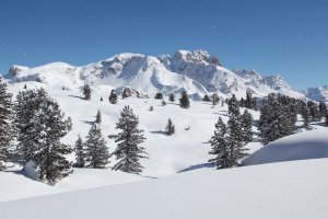 Ferienwohnung am Kronplatz im Winter 6