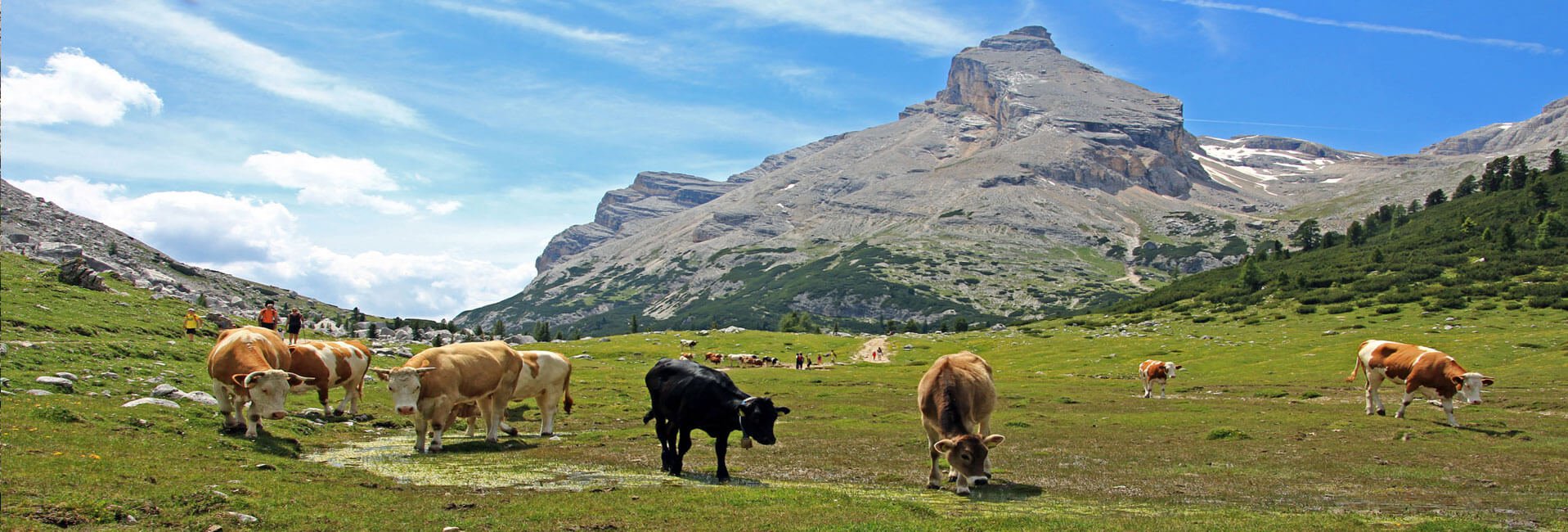 bauernhofurlaub-in-den-dolomiten-10