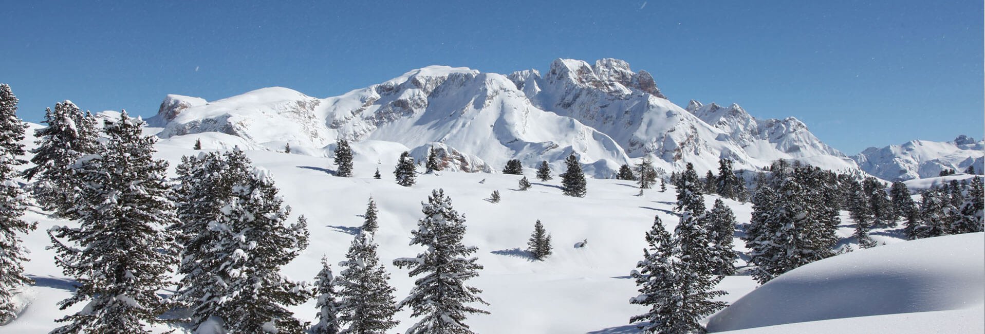 winterurlaub-auf-dem-bauernhof-in-st-vigil-01